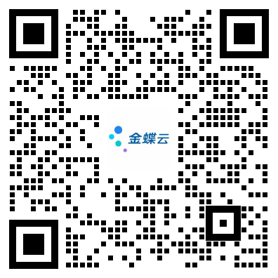 金蝶顾问