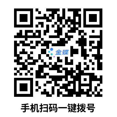 金蝶顾问